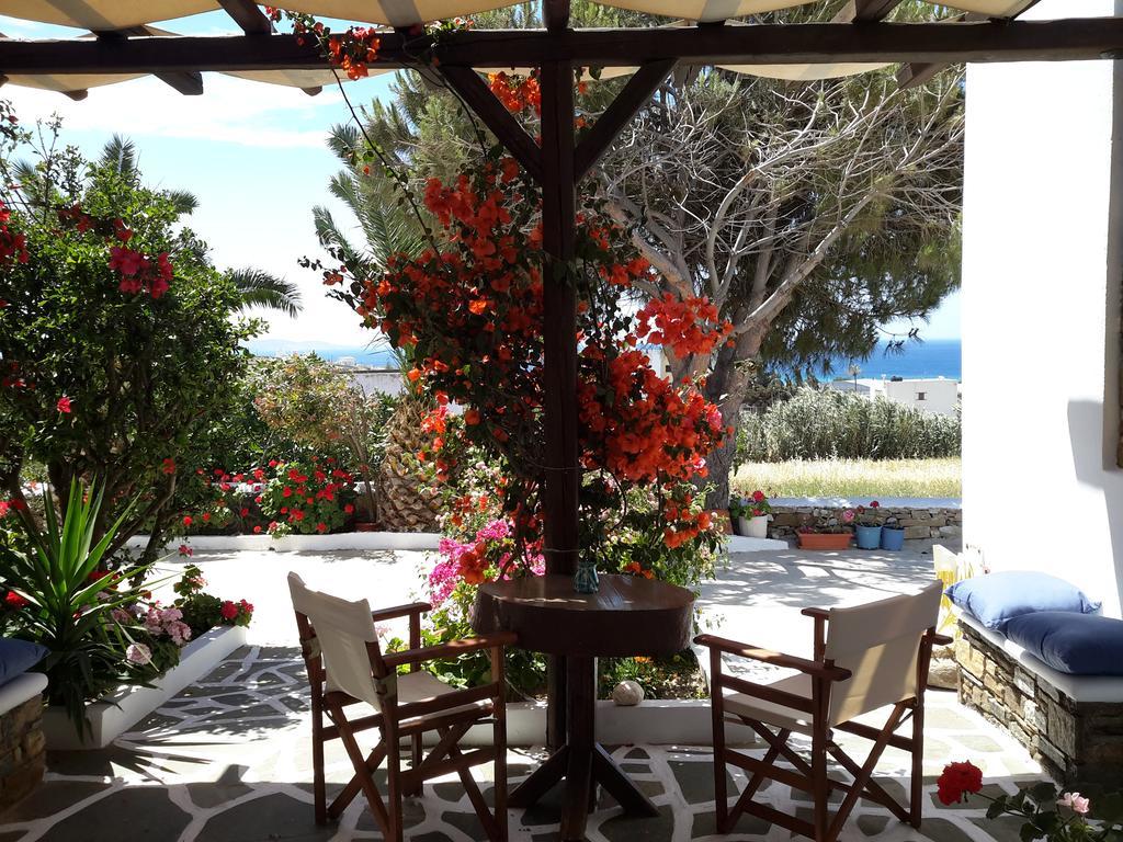 Tinos Peristerionas Apartment Bagian luar foto